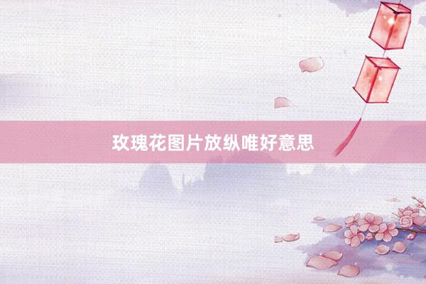 玫瑰花图片放纵唯好意思