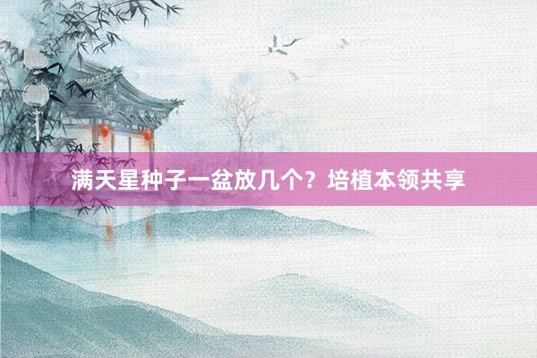 满天星种子一盆放几个？培植本领共享