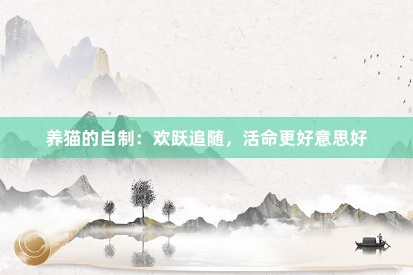 养猫的自制：欢跃追随，活命更好意思好