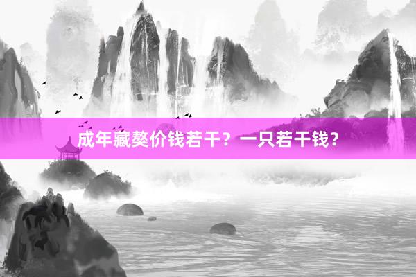 成年藏獒价钱若干？一只若干钱？